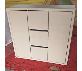 ATZY-RBG-01 软包柜(图1)